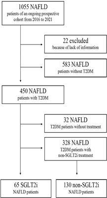 Risk of infections in patients with NAFLD and Type 2 Diabetes under treatment with SGLT2 inhibitors and relationship with liver outcomes: A retrospective case-control study